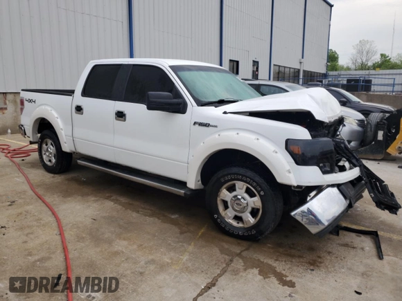 2009 Ford F-150 XL with VIN 1FTRW14869FA71810, listed as a Copart auction lot 55146085 with 191,405 mi miles and Non repairable. Bid and sale history available at DreamBid. Image 4.