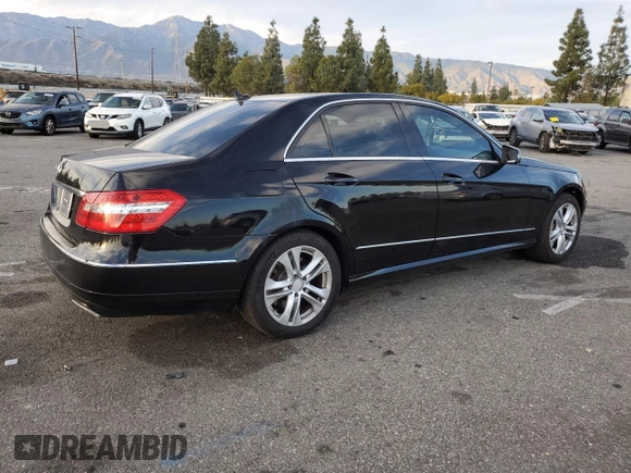 2010 Mercedes-Benz E 550 Luxury with VIN WDDHF7CB7AA162572, listed as a Copart auction lot 43745305 with 146,672 mi miles and Salvage Title. Bid and sale history available at DreamBid. Image 3.