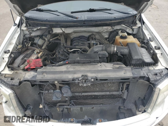 2011 Ford F-150 XL with VIN 1FTFW1CF5BFD20767, listed as a Copart auction lot 58480325 with 249,826 mi miles and Salvage title. Bid and sale history available at DreamBid. Image 11.