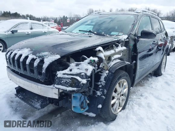 2017 Jeep Cherokee Limited with VIN 1C4PJMDS1HW505617, listed as a IAAI auction lot 41461389 with 97,978 mi miles. Bid and sale history available at carsss.com. Image 17.