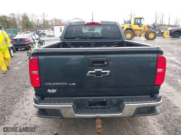 2018 Chevrolet Colorado 4WD Work Truck with VIN 1GCHTBEN2J1224781, listed as a IAAI auction lot 41695573 with 51,006 mi miles. Bid and sale history available at carsss.com. Image 17.