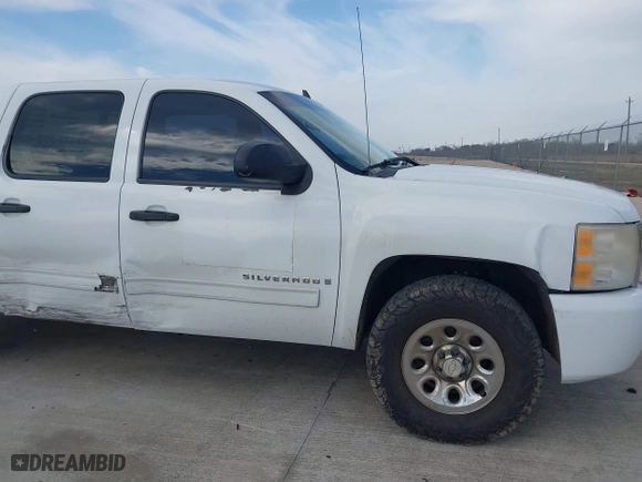 2009 Chevrolet Silverado 1500 LS with VIN 3GCEC13CX9G196238, listed as a IAAI auction lot 41690264 with 258,392 mi miles. Bid and sale history available at carsss.com. Image 13.