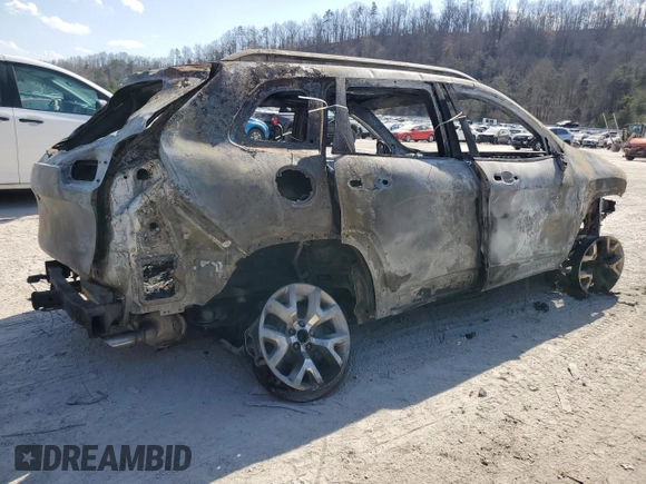 2018 Jeep Cherokee Trailhawk with VIN 1C4PJMBX9JD503209, listed as a Copart auction lot 49323265 with Not provided miles and Salvage title. Bid and sale history available at DreamBid. Image 3.