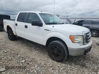 2010 Ford F-150 XL with VIN 1FTEW1E80AFA10938, listed as a Copart auction lot 62770355 with 243,947 mi miles and Clean title. Bid and sale history available at DreamBid. Image 4.