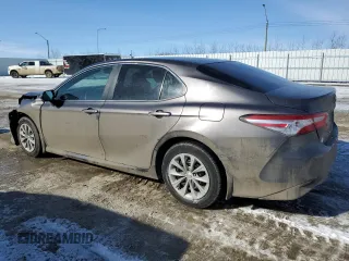 2020 Toyota Camry LE with VIN 4T1C11AK7LU358902, listed as a Copart auction lot 49436245 with 251,063 mi miles and Salvage Title. Bid and sale history available at carsss.com. Image 2.