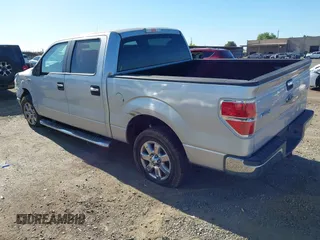 2013 Ford F-150 XL with VIN 1FTEW1CMXDKD82461, listed as a IAAI auction lot 42325049 with 145,298 mi miles and . Bid and sale history available at DreamBid. Image 3.