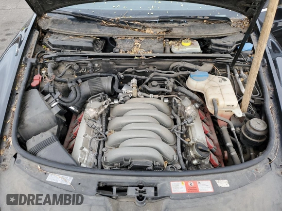2010 Audi A6 with VIN WAUBVAFB9AN069697, listed as a Copart auction lot 52449595 with 97,110 mi miles and Salvage title. Bid and sale history available at DreamBid. Image 11.