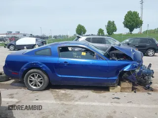 2005 Ford Mustang Deluxe with VIN 1ZVFT80N355159517, listed as a IAAI auction lot 42064180 with Not provided miles and . Bid and sale history available at DreamBid. Image 13.