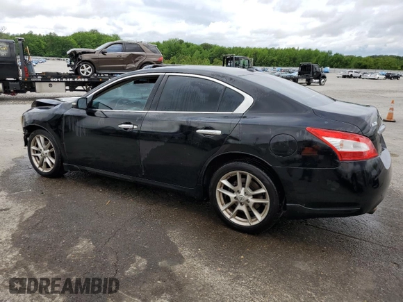 2011 Nissan Maxima SV with VIN 1N4AA5AP5BC849882, listed as a Copart auction lot 54858995 with 157,603 mi miles and Salvage title. Bid and sale history available at DreamBid. Image 2.