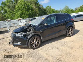 2018 Ford EcoSport SES z VIN MAJ6P1CL2JC213538, wystawiony jako Copart lot #53092125 z przebiegiem 84 843 mil mil oraz Szkoda całkowita • Salvage title. Historia ofert i sprzedaży dostępna na DreamBid. Obrazek 1.