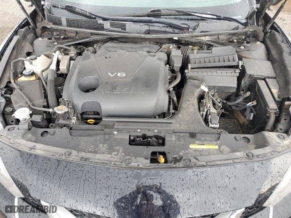 2016 Nissan Maxima 3.5 SL with VIN 1N4AA6AP3GC446836, listed as a Copart auction lot 51251395 with 0 mi miles and Salvage Title. Bid and sale history available at carsss.com. Image 11.