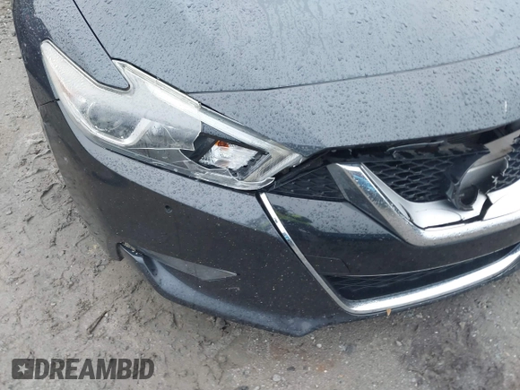 2017 Nissan Maxima SV with VIN 1N4AA6AP9HC383839, listed as a IAAI auction lot 41293915 with 141,621 mi miles and . Bid and sale history available at DreamBid. Image 18.
