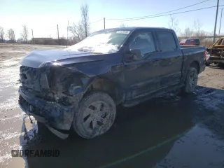 2023 Ford F-150 Lightning Pro with VIN 1FT6W1EV4PWG24488, listed as a Copart auction lot 51523945 with Not provided miles and Salvage title. Bid and sale history available at DreamBid. Image 1.