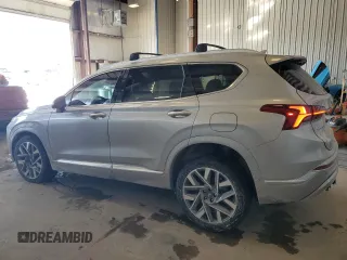 2021 Hyundai Santa Fe Calligraphy with VIN 5NMS5DAL0MH364340, listed as a Copart auction lot 44924695 with 48,324 mi miles and Salvage title. Bid and sale history available at DreamBid. Image 2.
