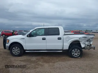 2010 Ford F-150 XL with VIN 1FTEW1E81AFD42774, listed as a IAAI auction lot 42224876 with 77,415 mi miles and . Bid and sale history available at DreamBid. Image 14.