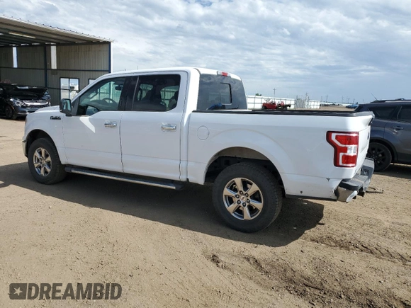 2019 Ford F-150 XL with VIN 1FTEW1EPXKKC50501, listed as a Copart auction lot 62301215 with 79,065 mi miles and Salvage title. Bid and sale history available at DreamBid. Image 2.