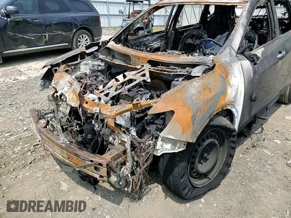2017 Nissan Rogue S with VIN KNMAT2MV5HP529377, listed as a Copart auction lot 59687365 with Not provided miles and Salvage title. Bid and sale history available at DreamBid. Image 14.