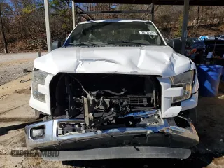 2016 Ford F-150 XL with VIN 1FTMF1CP0GKD36633, listed as a Copart auction lot 88722485 with 245,180 mi miles and Salvage Title. Bid and sale history available at carsss.com. Image 5.