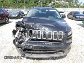 2016 Jeep Cherokee Sport z VIN 1C4PJLAB3GW233584, wystawiony jako Copart lot #61441815 z przebiegiem 168 112 mil mil oraz Szkoda całkowita • Salvage title. Historia ofert i sprzedaży dostępna na DreamBid. Obrazek 5.