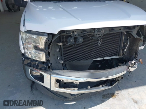 2016 Ford F-150 XLT with VIN 1FTEW1C88GKF86232, listed as a IAAI auction lot 42405142 with 264,135 mi miles and . Bid and sale history available at DreamBid. Image 18.