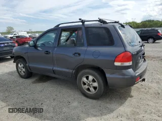 2005 Hyundai Santa Fe GLS with VIN KM8SC73D25U868391, listed as a Copart auction lot 50810045 with 119,074 mi miles and Salvage Title. Bid and sale history available at carsss.com. Image 2.