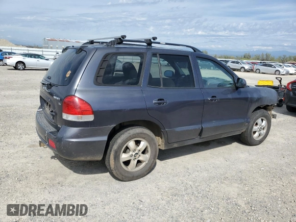 2005 Hyundai Santa Fe GLS with VIN KM8SC73D25U868391, listed as a Copart auction lot 50810045 with 119,074 mi miles and Salvage Title. Bid and sale history available at carsss.com. Image 3.