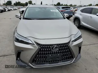 2025 Lexus NX 350 Premium with VIN 2T2GGCEZ8SC060289, listed as a Copart auction lot 58434995 with 13,767 mi miles and Salvage title. Bid and sale history available at DreamBid. Image 5.