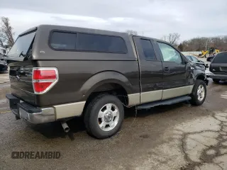 2009 Ford F-150 STX with VIN 1FTRX12889KB13885, listed as a Copart auction lot 45527405 with 141,913 mi miles and Non Repairable. Bid and sale history available at carsss.com. Image 3.