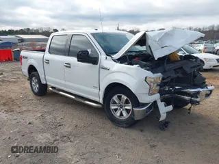 2016 Ford F-150 XLT with VIN 1FTEW1EG2GFC19310, listed as a IAAI auction lot 41474483 with 137,210 mi miles. Bid and sale history available at carsss.com. Image 1.