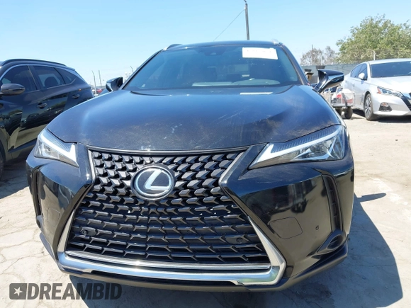 2022 Lexus UX 200 with VIN JTHX3JBH8N2047074, listed as a IAAI auction lot 42665051 with 27,249 mi miles and . Bid and sale history available at DreamBid. Image 12.