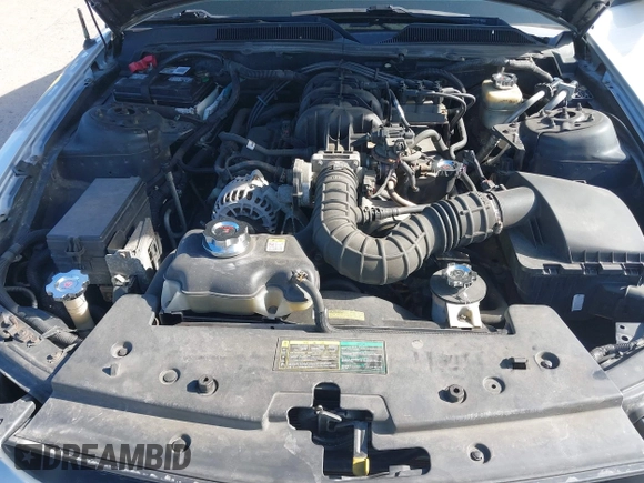 2006 Ford Mustang Standard with VIN 1ZVFT80N465121747, listed as a IAAI auction lot 42124022 with 129,026 mi miles. Bid and sale history available at carsss.com. Image 10.