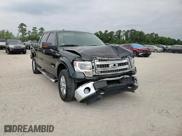 2014 Ford F-150 XL with VIN 1FTFW1ET1EFA43915, listed as a Copart auction lot 53135585 with 176,680 mi miles and Salvage title. Bid and sale history available at DreamBid. Image 11.