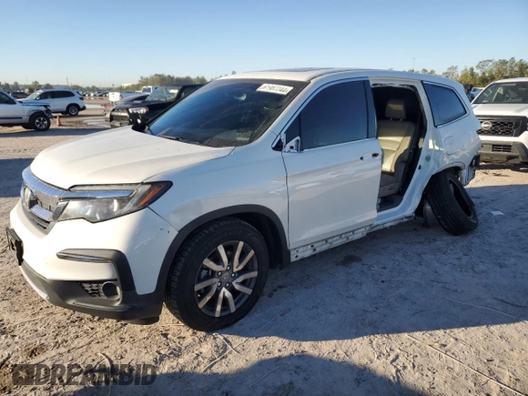 2019 Honda Pilot EX-L with VIN 5FNYF5H40KB019724, listed as a Copart auction lot 81987244 with 117,406 mi miles and Salvage title. Bid and sale history available at DreamBid. Image 1.