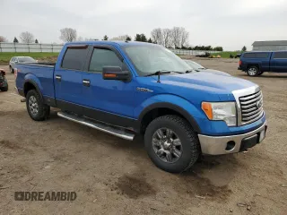 2010 Ford F-150 XL with VIN 1FTFW1EV6AFC19031, listed as a Copart auction lot 54089705 with 238,935 mi miles and Clean Title. Bid and sale history available at carsss.com. Image 4.