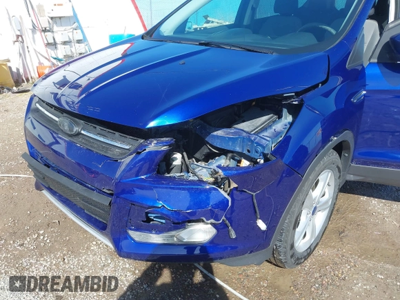 2014 Ford Escape SE with VIN 1FMCU9G99EUD02098, listed as a IAAI auction lot 41814969 with 210,218 mi miles and . Bid and sale history available at DreamBid. Image 6.