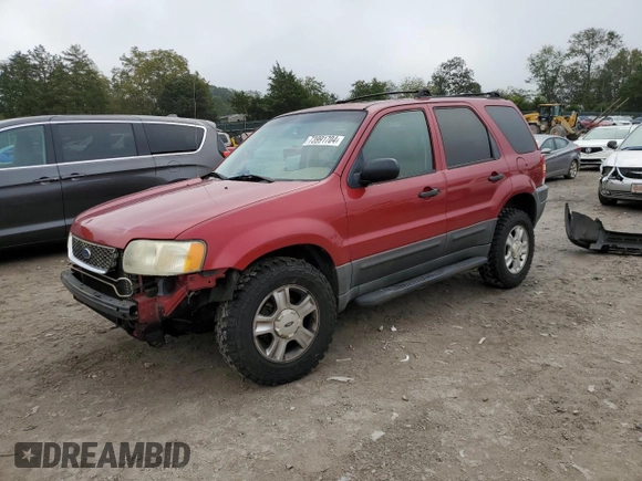2003 Ford Escape XLT Popular 2 with VIN 1FMYU93183KB78114, listed as a Copart auction lot 73991704 with 316,574 mi miles and Salvage Title. Bid and sale history available at DreamBid. Image 1.