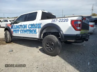2023 Ford F-150 Raptor with VIN 1FTFW1RJ4PFC98974, listed as a Copart auction lot 47208565 with Not Provided miles and Salvage Title. Bid and sale history available at DreamBid. Image 2.