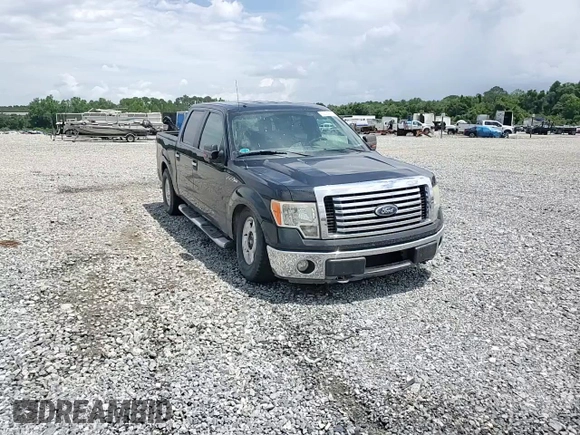 2010 Ford F-150 XL with VIN 1FTFW1EV1AFA04835, listed as a Copart auction lot 60063625 with 160,280 mi miles and Salvage title. Bid and sale history available at DreamBid. Image 13.