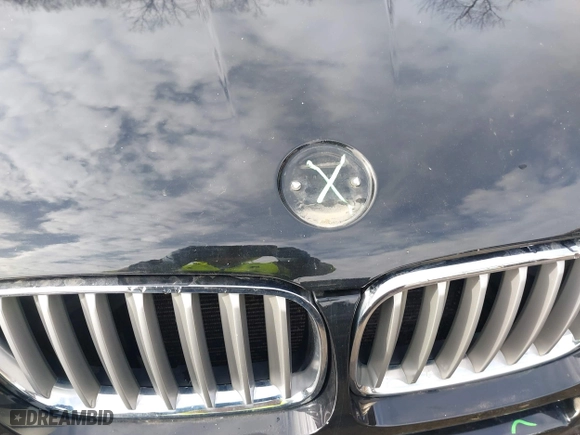 2007 BMW X3 3.0si with VIN WBXPC93477WF19746, listed as a IAAI auction lot 41485294 with 134,345 mi miles. Bid and sale history available at carsss.com. Image 12.