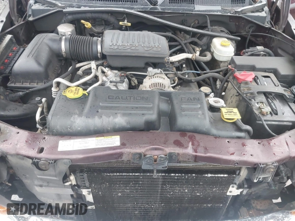 2004 Dodge Dakota SLT with VIN 1D7HG48N04S718220, listed as a IAAI auction lot 42258803 with 250,757 mi miles and . Bid and sale history available at DreamBid. Image 10.