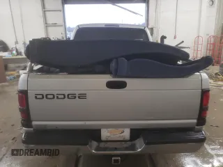 2001 Dodge 1500 with VIN 1B7HC16YX1S142617, listed as a Copart auction lot 45110595 with Not provided miles and Salvage title. Bid and sale history available at DreamBid. Image 6.