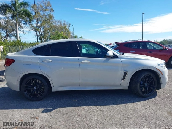 2019 BMW X6 M with VIN 5YMKW8C50K0Y75148, listed as a IAAI auction lot 41244301 with NaN miles. Bid and sale history available at carsss.com. Image 13.