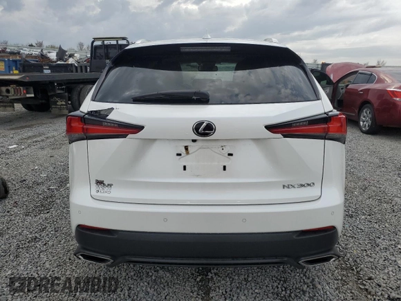 2020 Lexus NX 300 with VIN JTJGARDZ0L2218308, listed as a Copart auction lot 51863955 with 44,156 mi miles and Salvage Title. Bid and sale history available at DreamBid. Image 6.