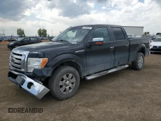 2009 Ford F-150 XL с VIN 1FTRW14819FA71360, выставлен на аукционе Copart как лот 61589625 с пробегом 309 828 миль миль и Списание • Salvage title. История ставок и продаж доступна на DreamBid. Изображение 1.