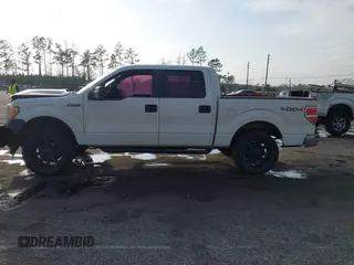 2013 Ford F-150 XL with VIN 1FTFW1EF1DKD13578, listed as a IAAI auction lot 41590263 with 192,230 mi miles and . Bid and sale history available at DreamBid. Image 13.