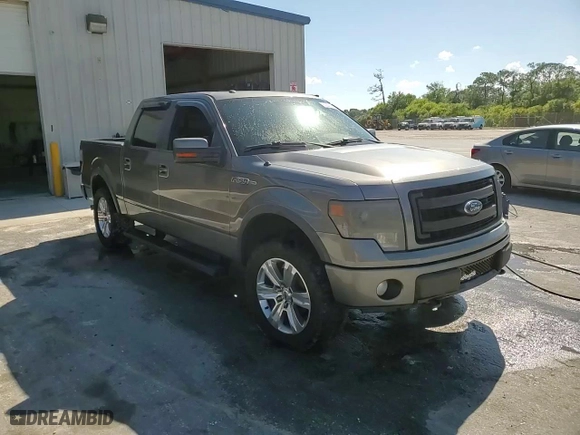 2013 Ford F-150 XL with VIN 1FTFW1ET5DFB73260, listed as a Copart auction lot 50641375 with 0 mi miles and Non Repairable. Bid and sale history available at carsss.com. Image 13.