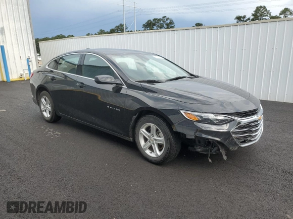 2024 Chevrolet Malibu LT with VIN 1G1ZD5ST9RF234897, listed as a Copart auction lot 55106895 with 29,268 mi miles and Clean Title. Bid and sale history available at DreamBid. Image 4.