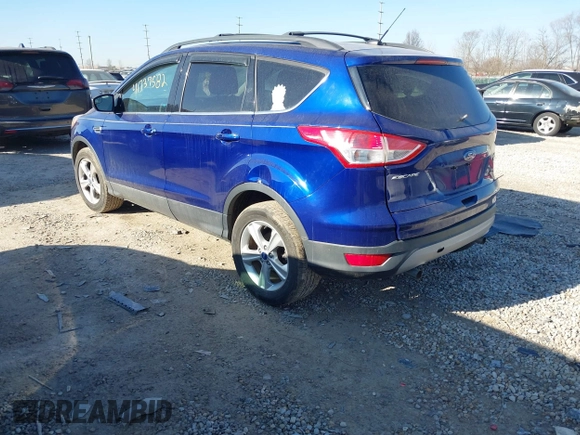 2013 Ford Escape SE with VIN 1FMCU0GX9DUC33969, listed as a IAAI auction lot 41737582 with 132,629 mi miles. Bid and sale history available at carsss.com. Image 3.