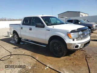 2013 Ford F-150 XL with VIN 1FTFW1EF0DFA71889, listed as a Copart auction lot 47989605 with 282,091 mi miles and Salvage Title. Bid and sale history available at carsss.com. Image 4.