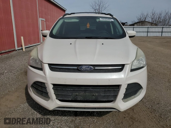 2013 Ford Escape SE with VIN 1FMCU0GXXDUB72731, listed as a Copart auction lot 49289405 with 326,548 mi miles and Clean Title. Bid and sale history available at DreamBid. Image 5.